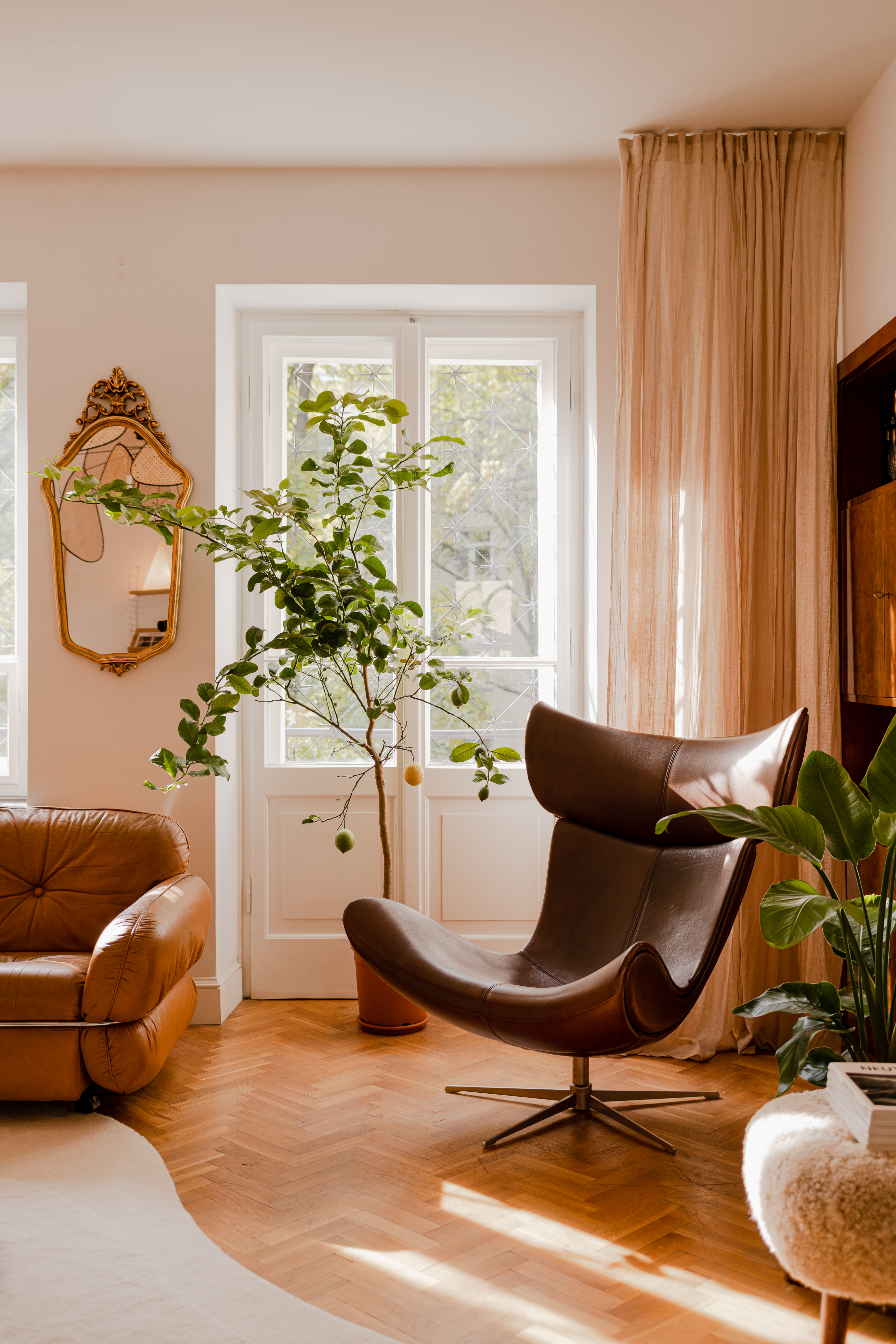 Zielony akcent w pokoju