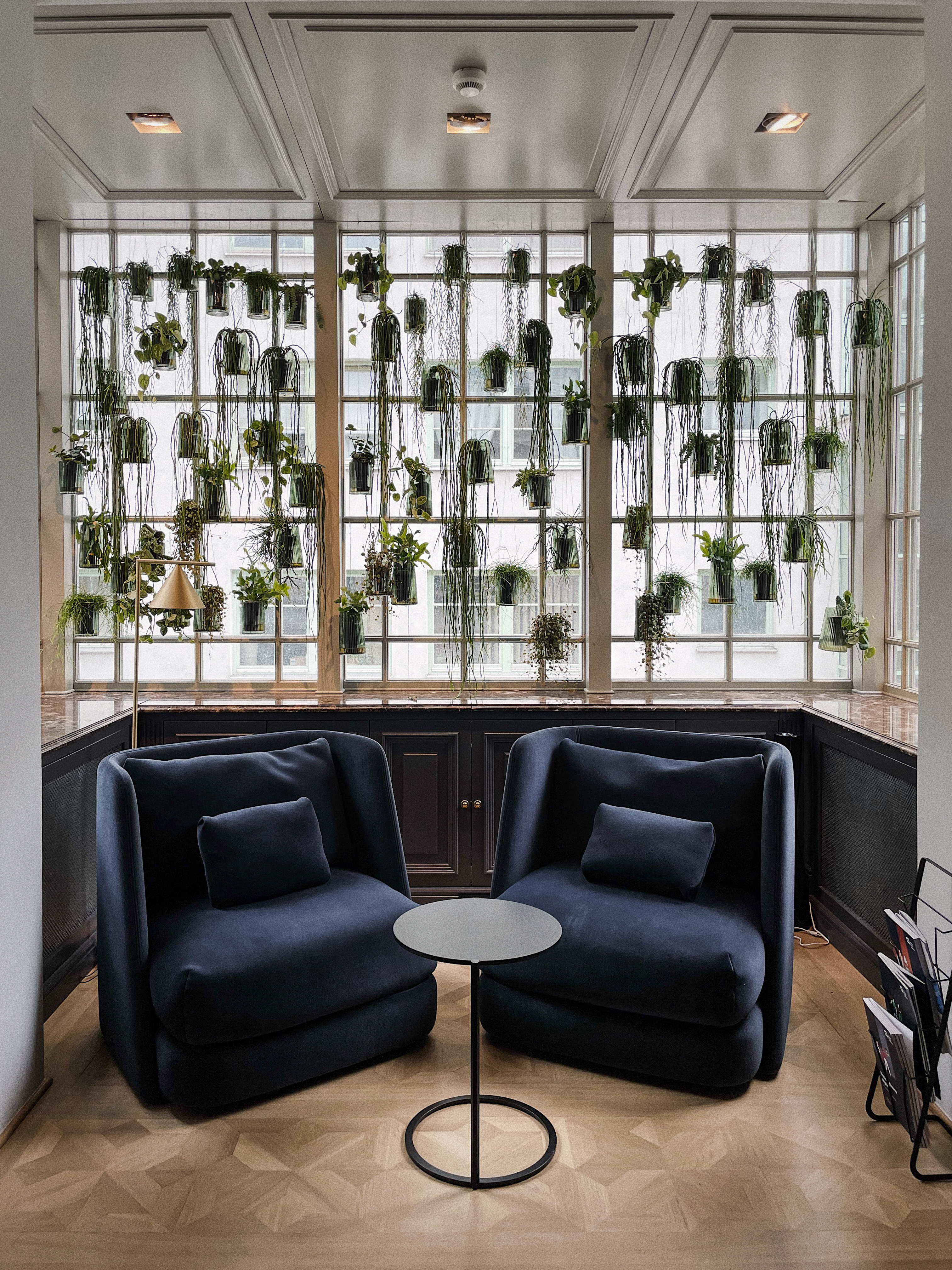 Kwiaty do wnętrza biurowego