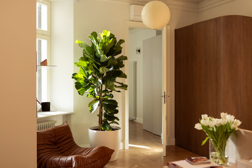 Roślina pasująca do poczekalni