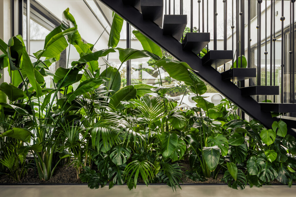 Klatka schodowa w liściach