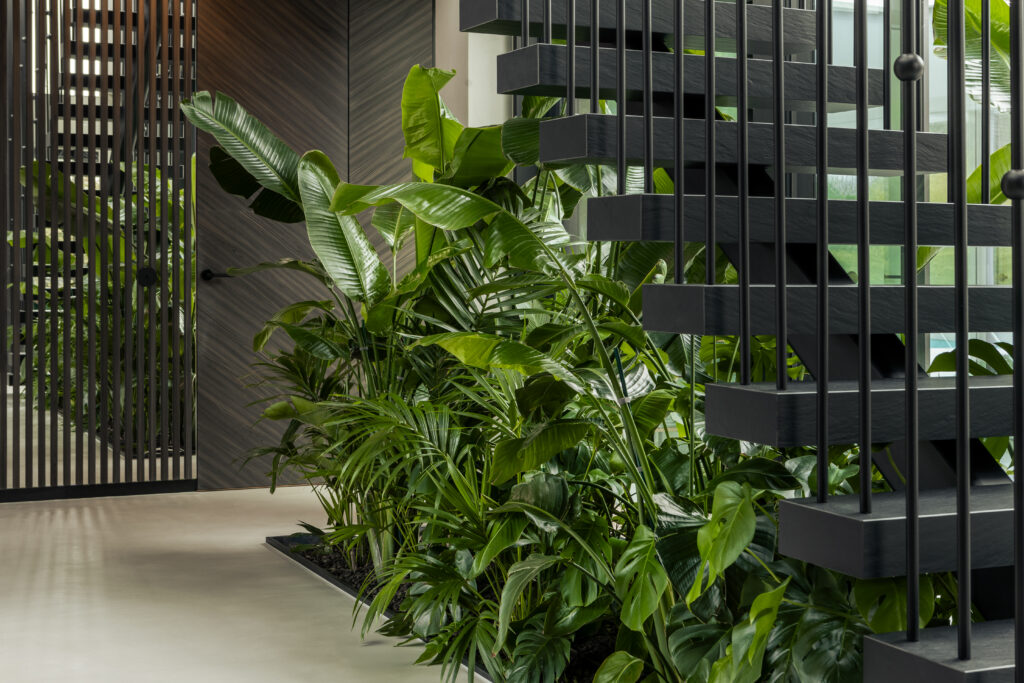 Liście na klatce schodowej