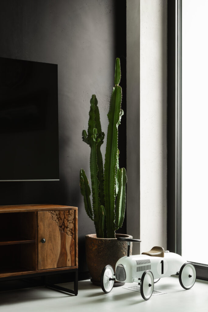 Roślinna aranżacja