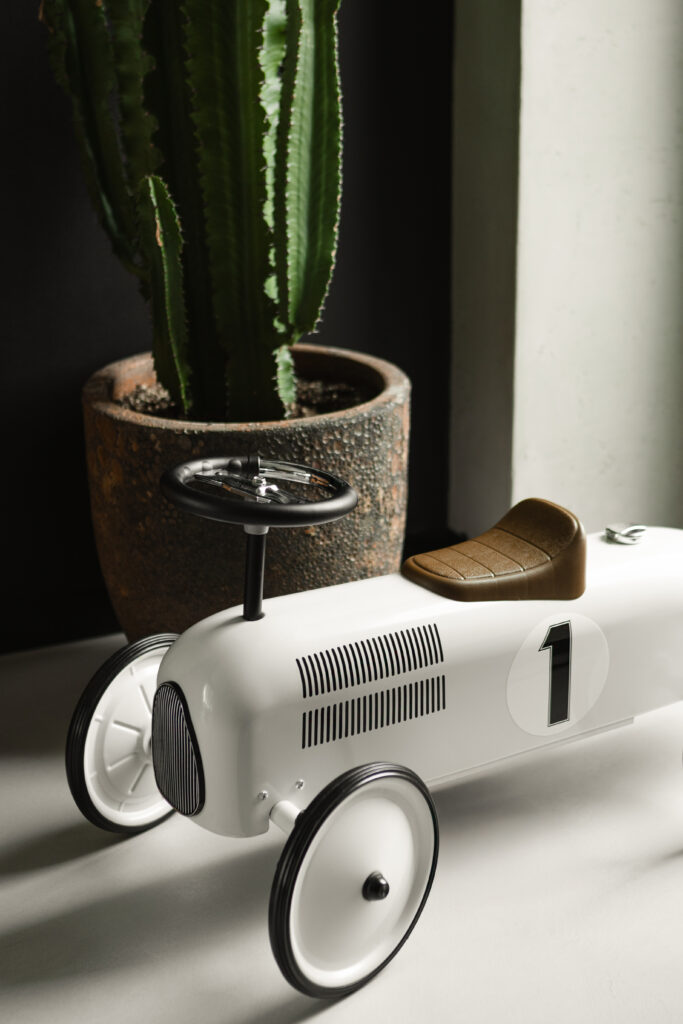 Roślina ozdabiająca Twoje wnętrze