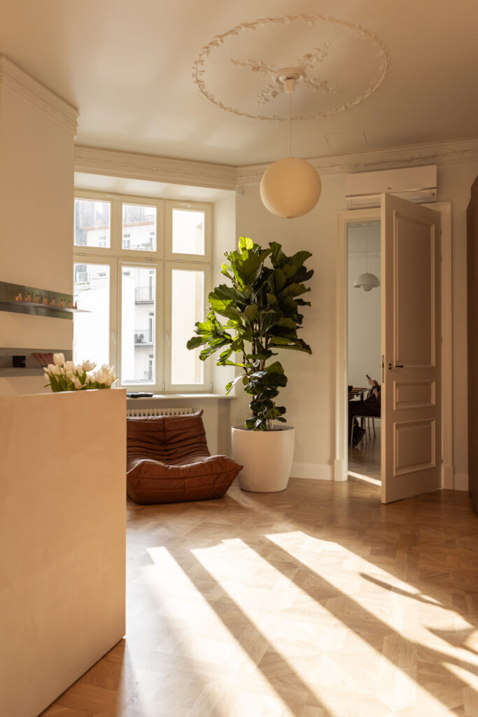 Roślina do chill roomu