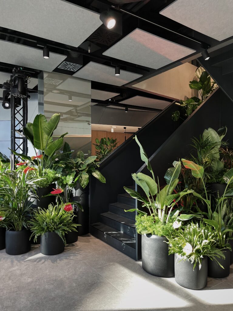 Rośliny kwitnące do biura