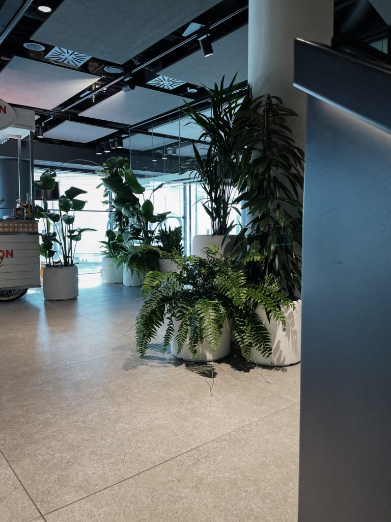 Zielony akcent w biurze