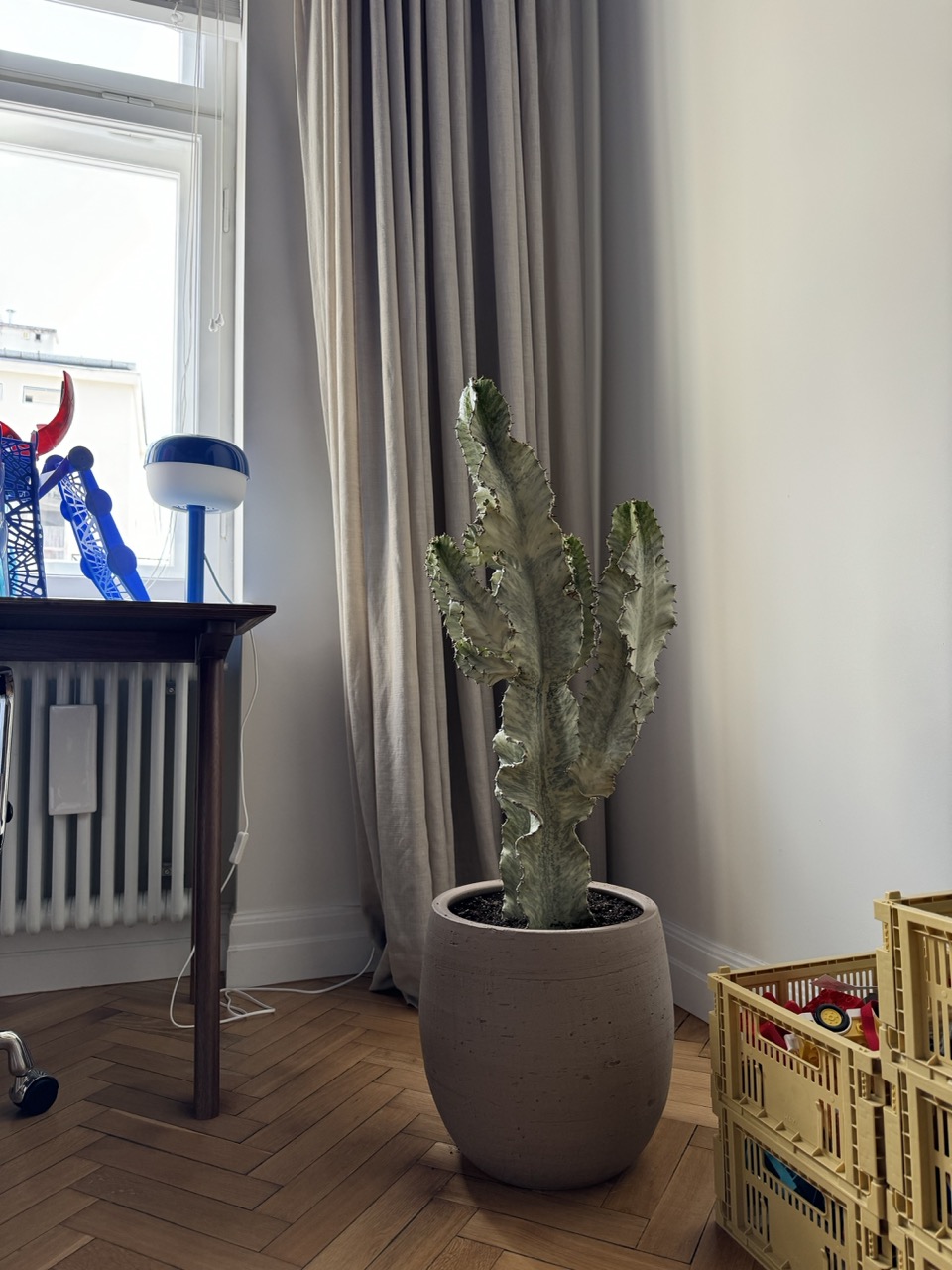 Roślina uzupełniająca wnętrze domu