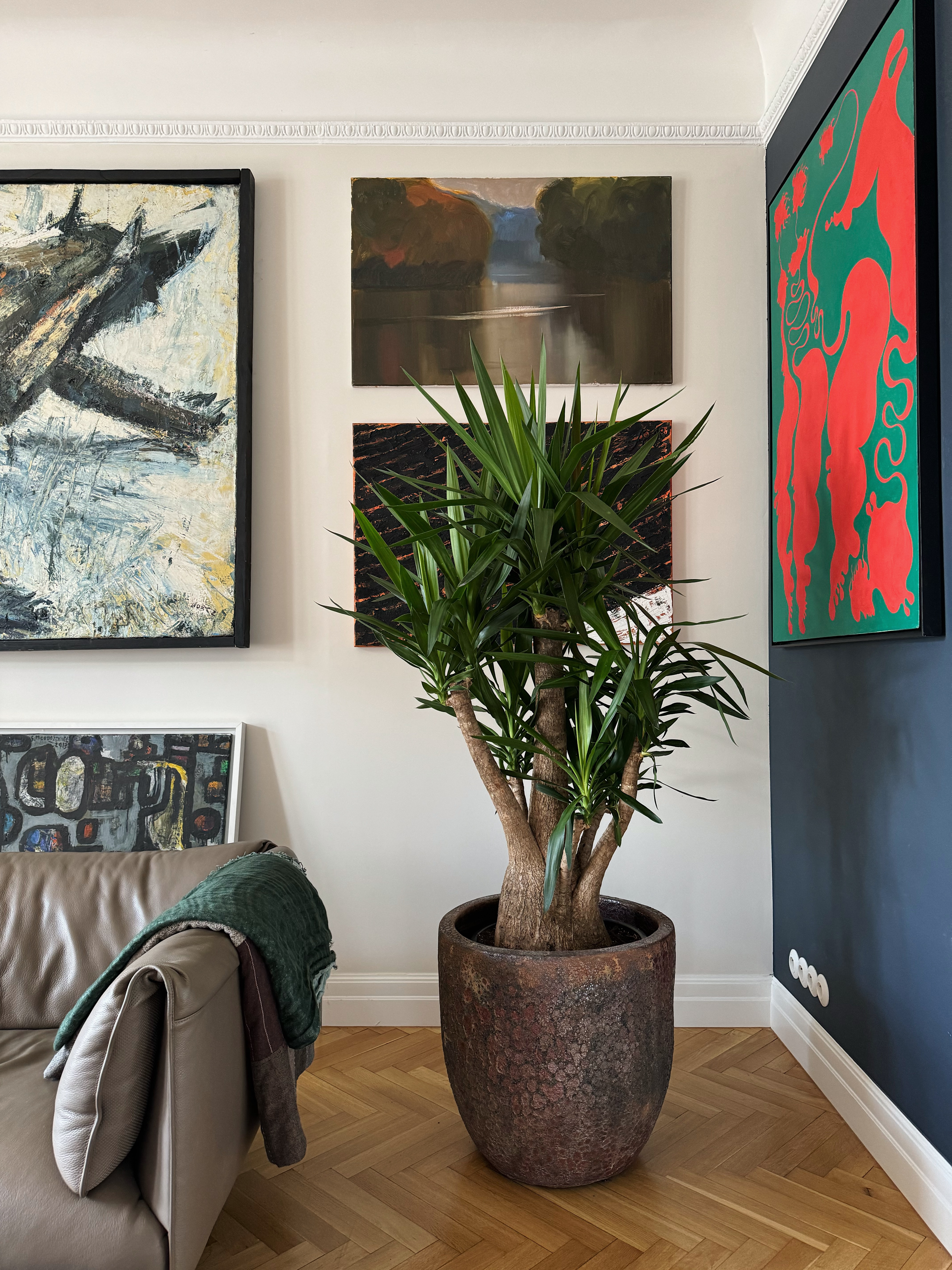 Zielona oaza w salonie