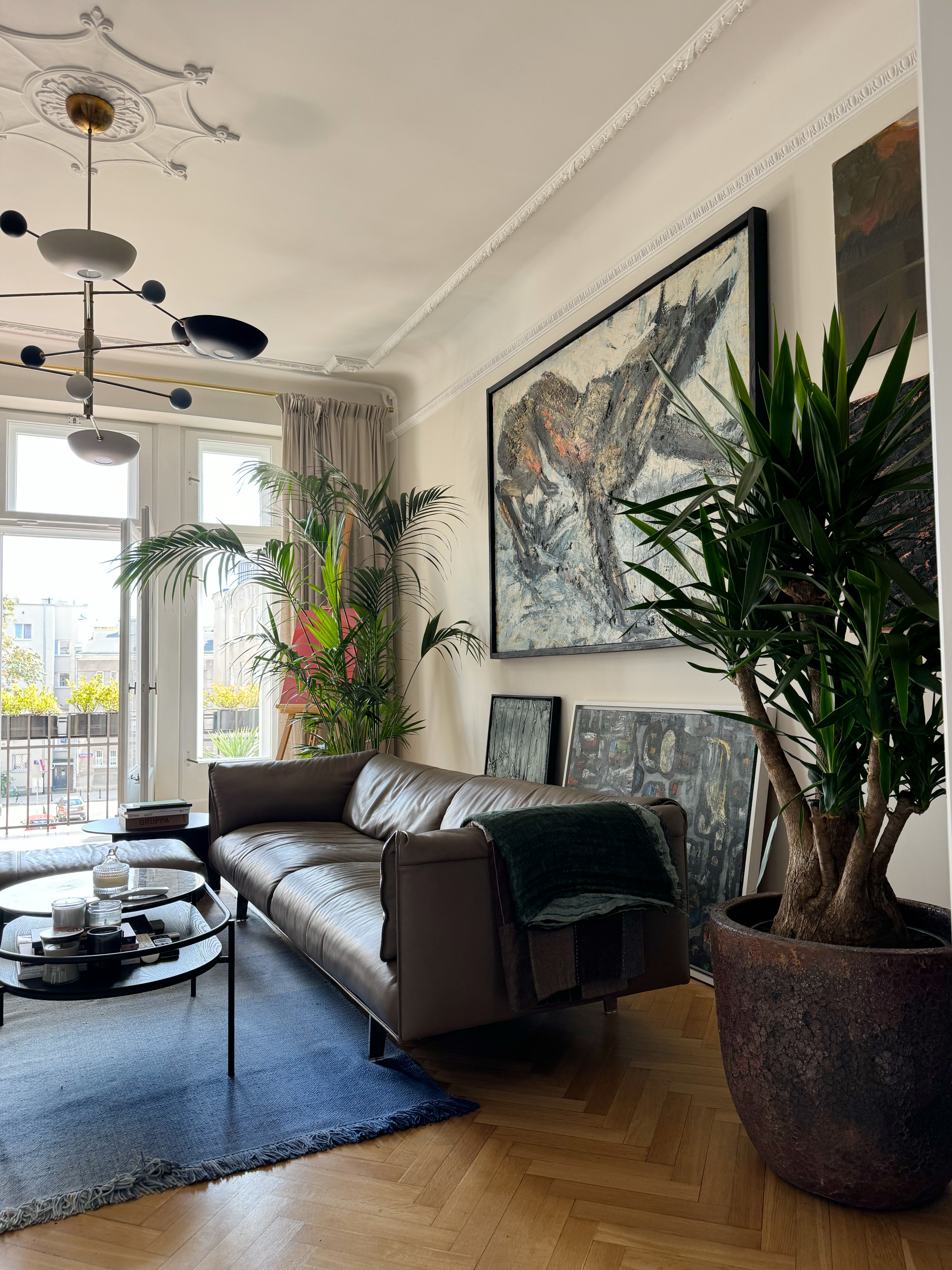 Aranżacja roślin w salonie