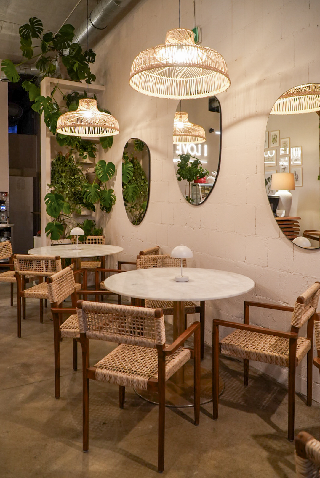 Rośliny do biura boho