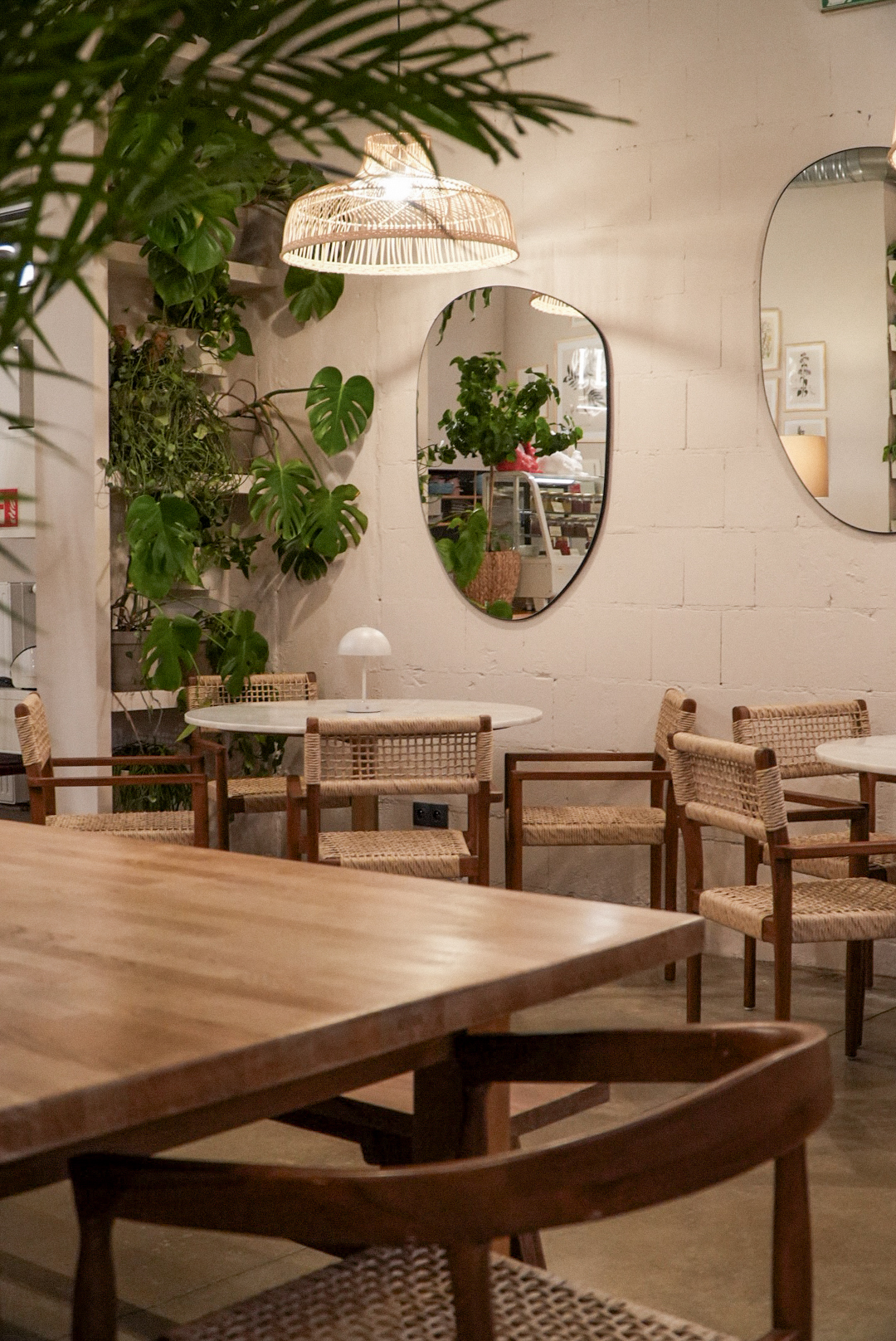 Rośliny do stołówki firmowej