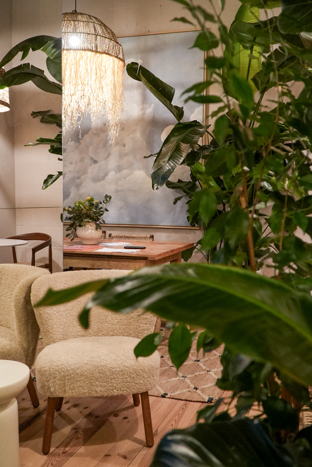 Strefa wejściowa do biura z roślinami