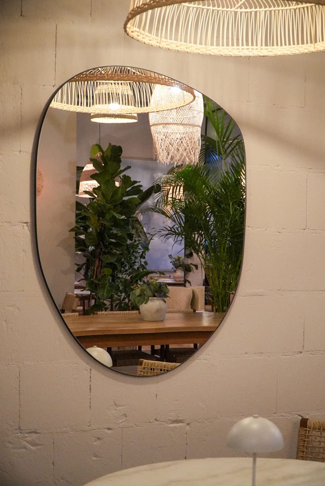 Roślina pasująca do ciepłego wnętrza