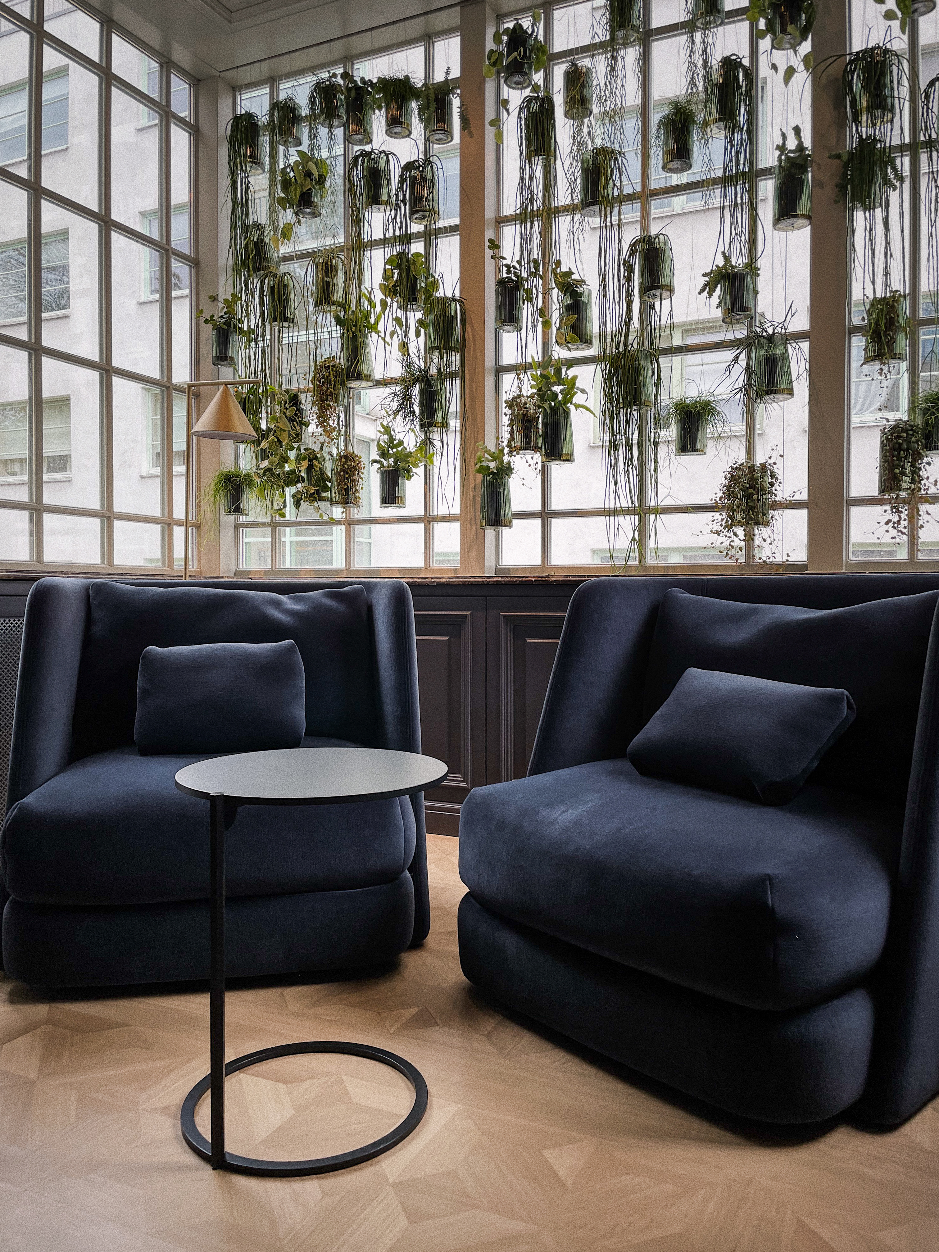 Roślinny akcent w biurze