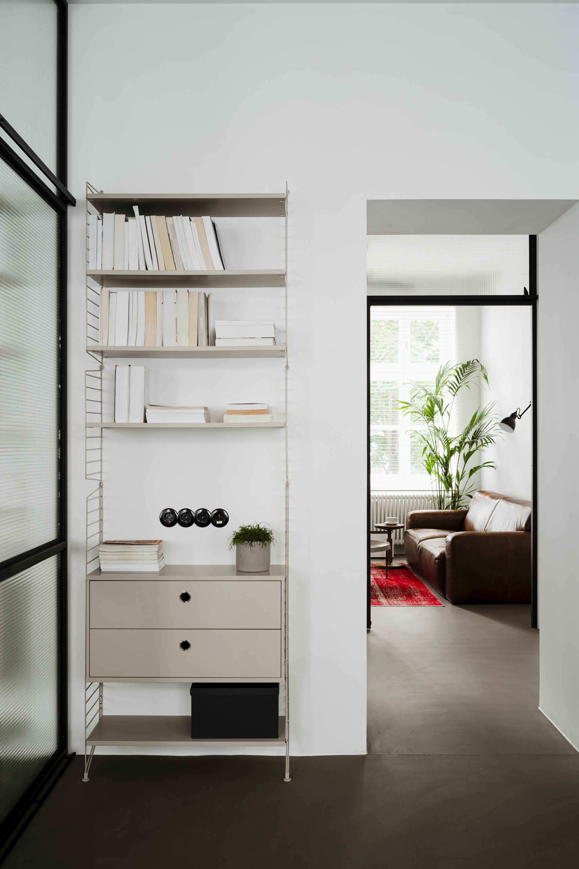 Roślina do przytulnego wnętrza