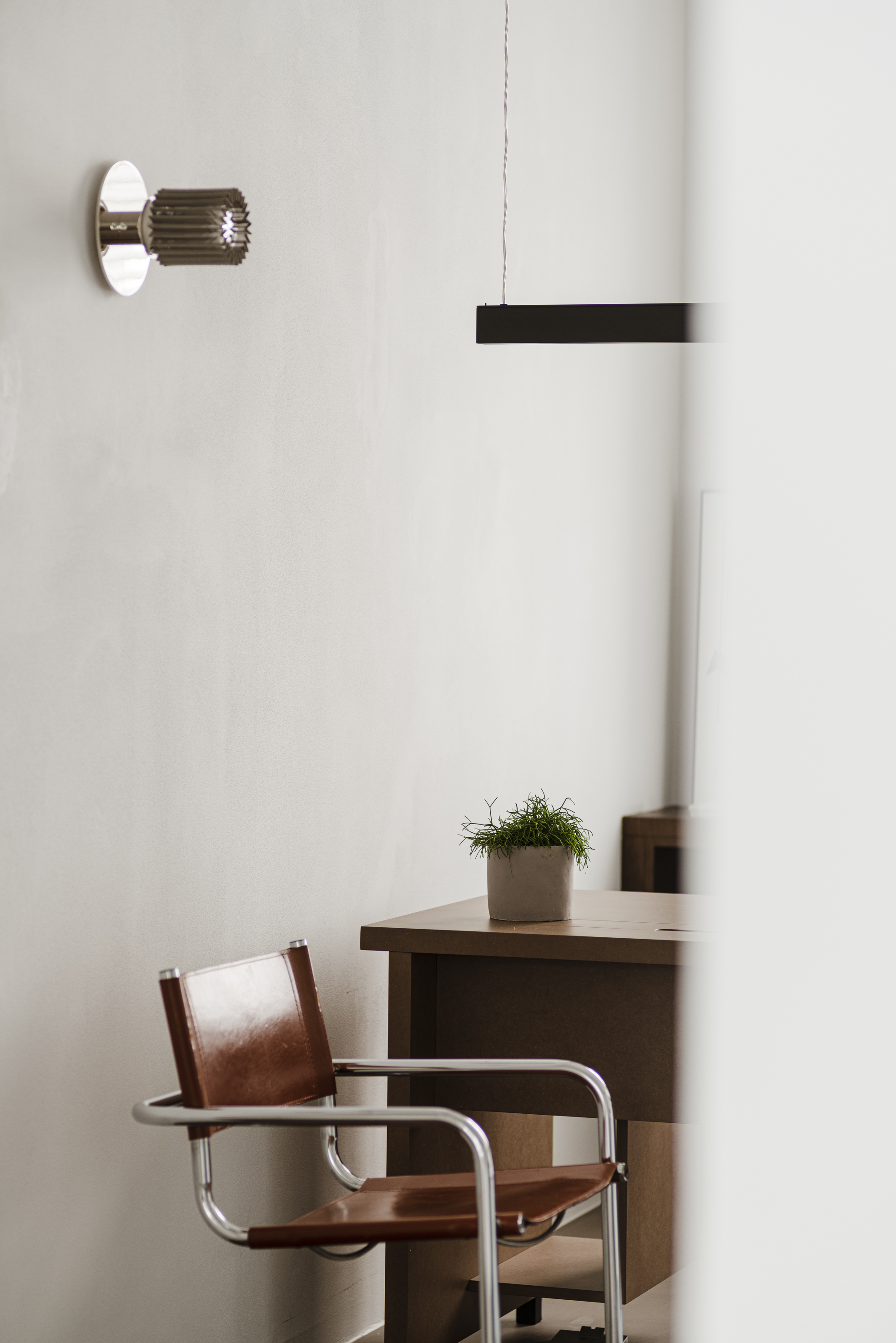 Roślina pasująca do biurka