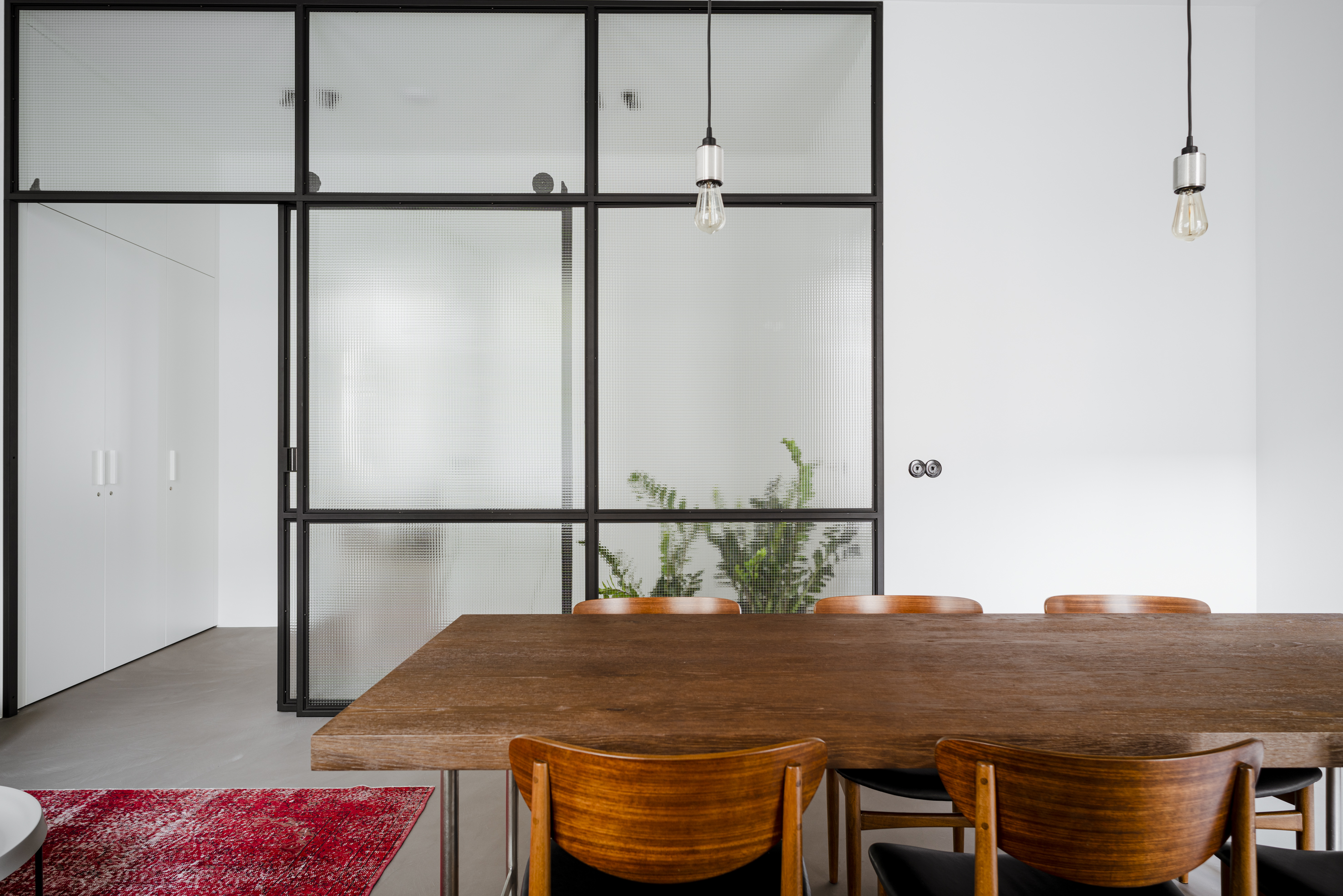 Roślina, która pasuje do każdego domu