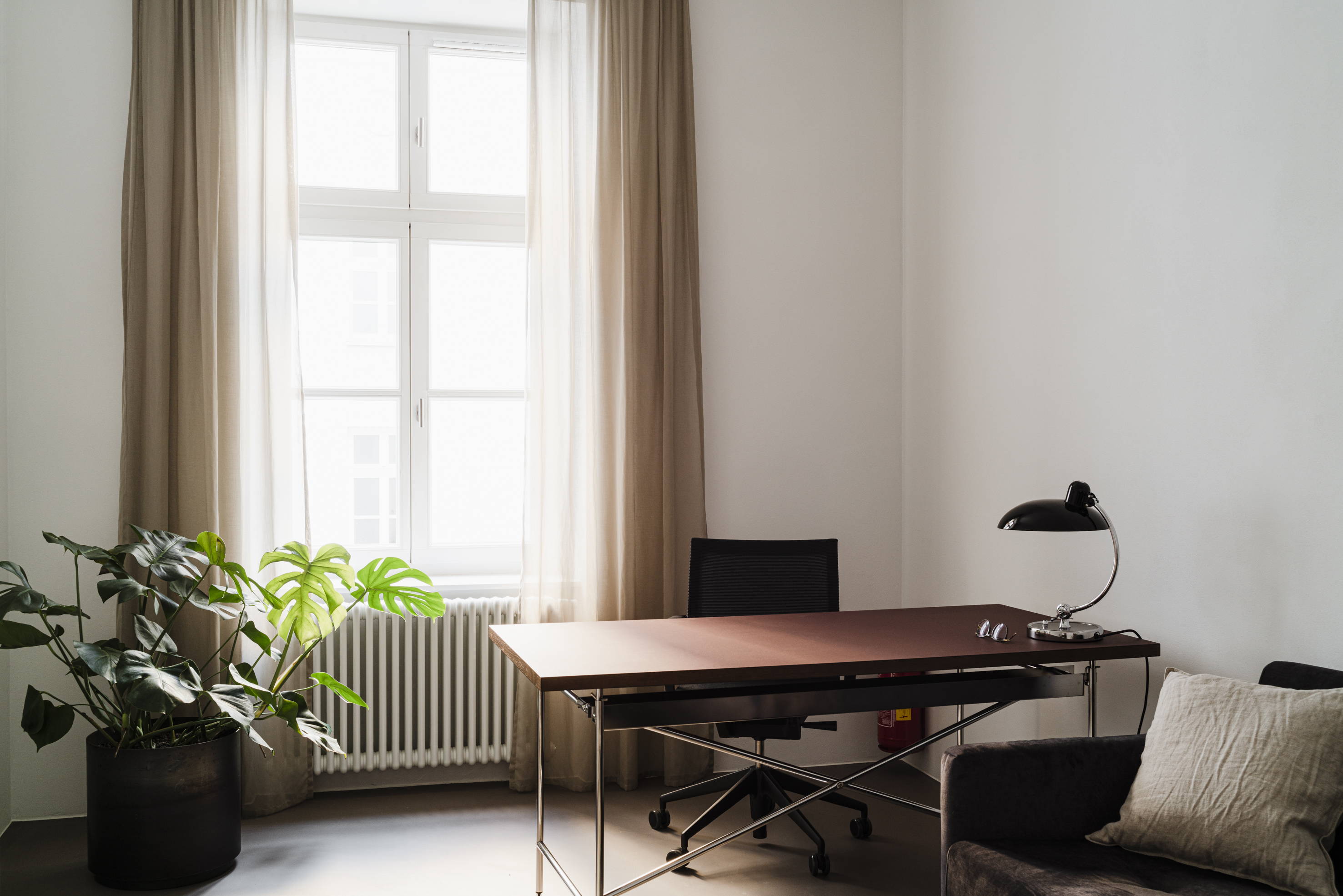Roślina do biura o nowoczesnym stylu