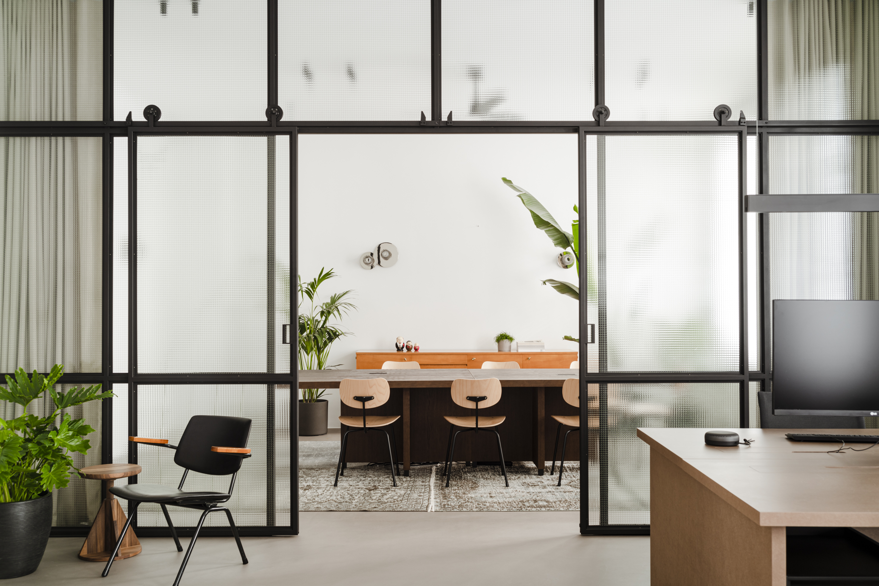 Rośliny, które zdobią twoje pomieszczenia