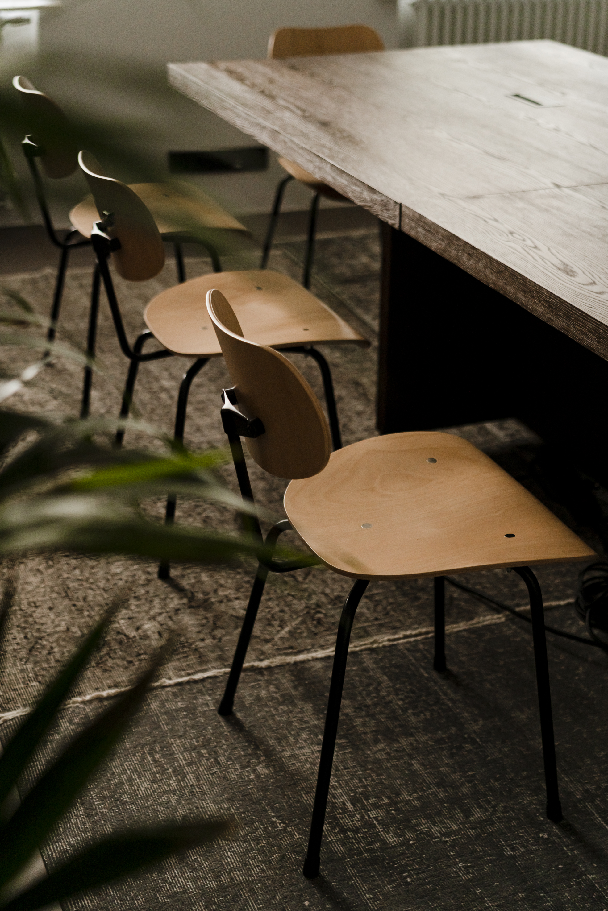 Rośliny pasujące do jadalni