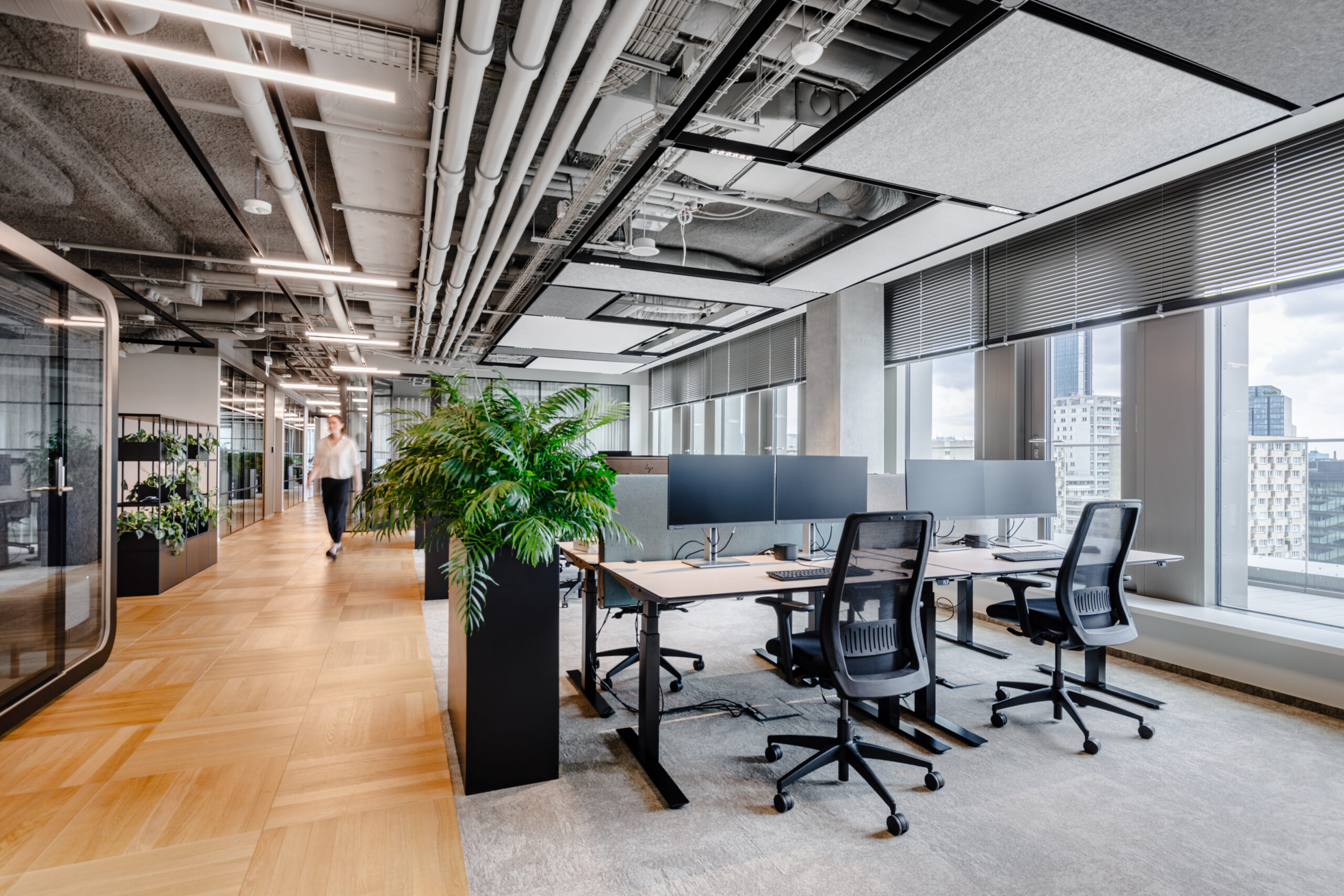 Rośliny pasujące do przestrzeni biurowej