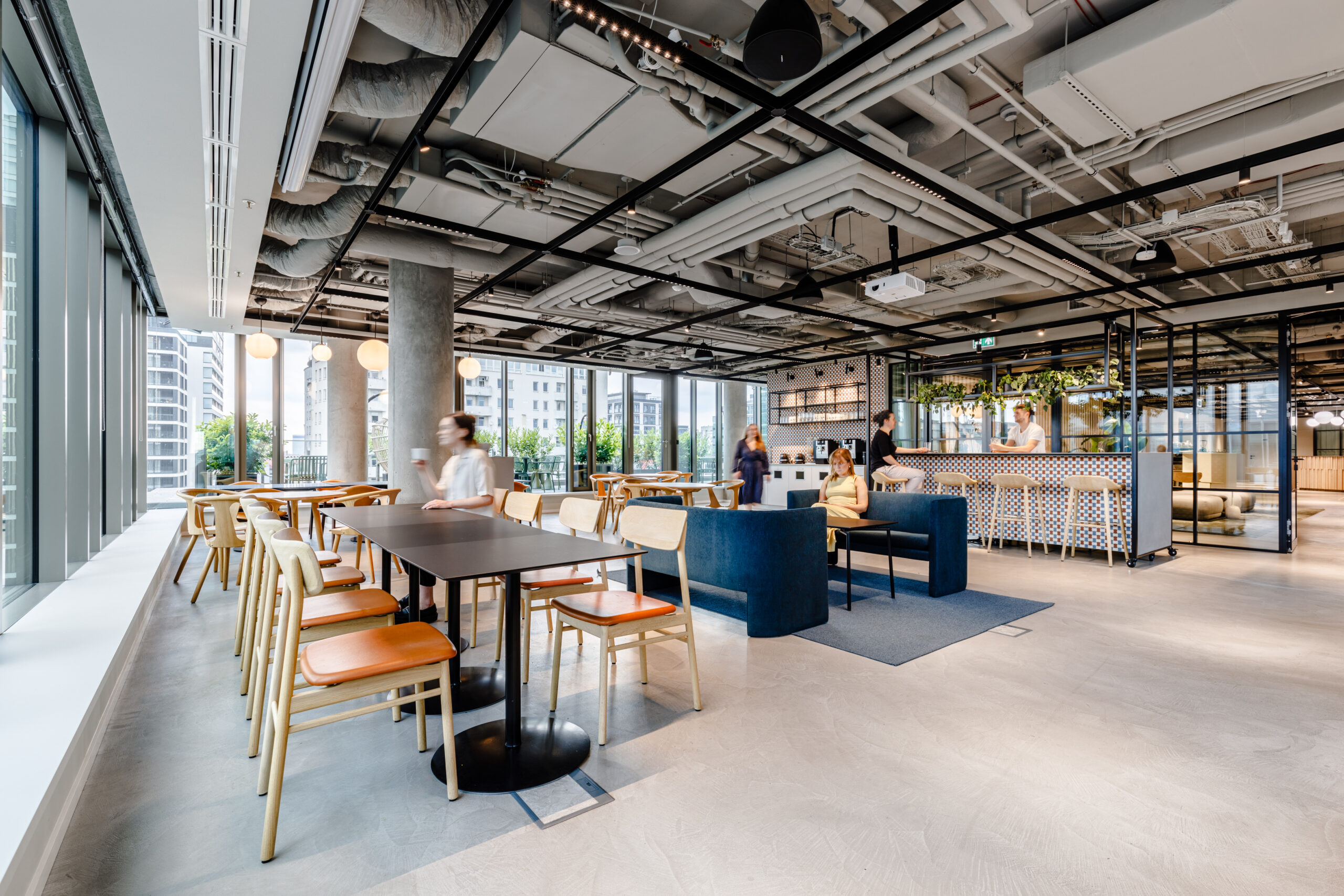 Rośliny do open space