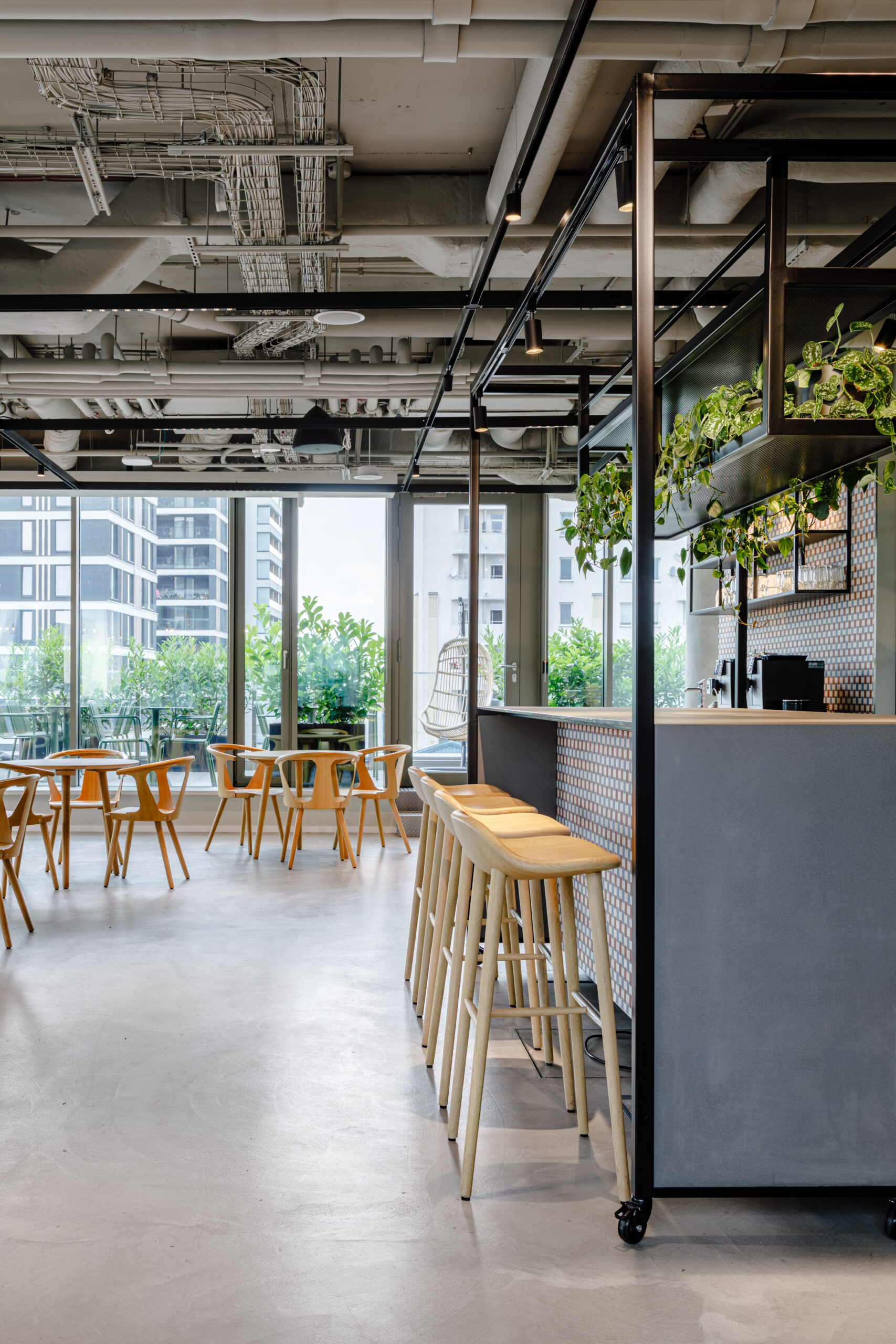 Rośliny, które zdobią restaurację