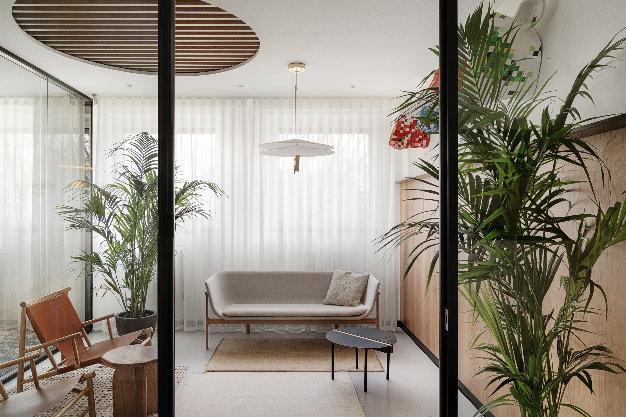 Zieleń biurowa na codzień