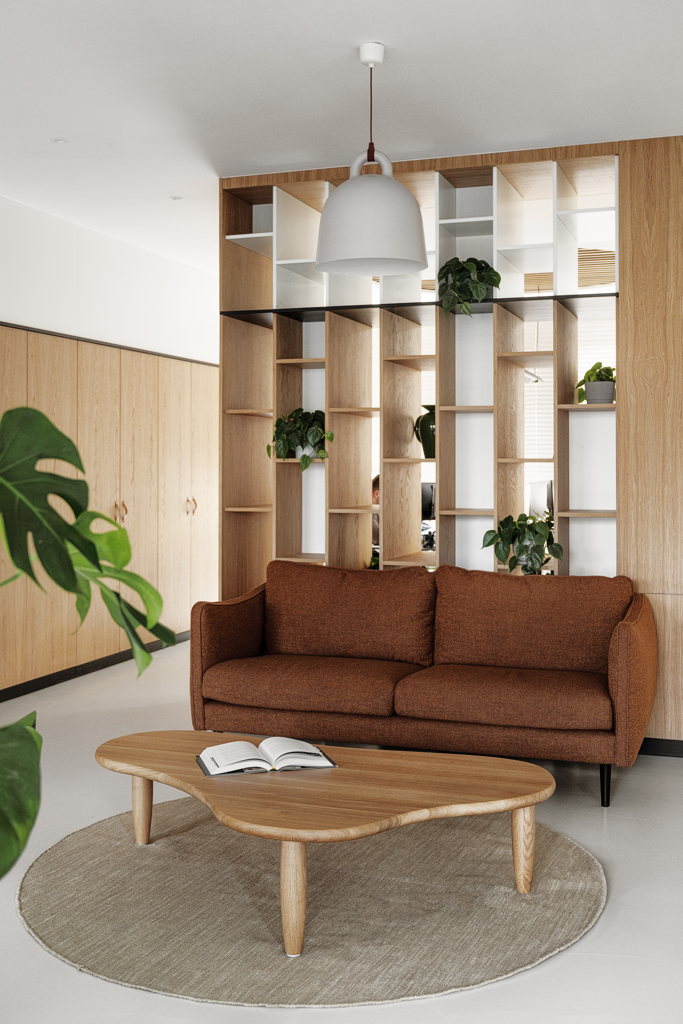 Rośliny, które ożywią biuro