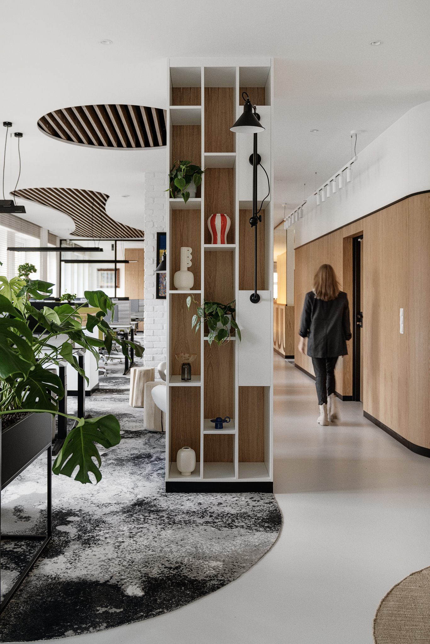 Rośliny na półkach w biurze